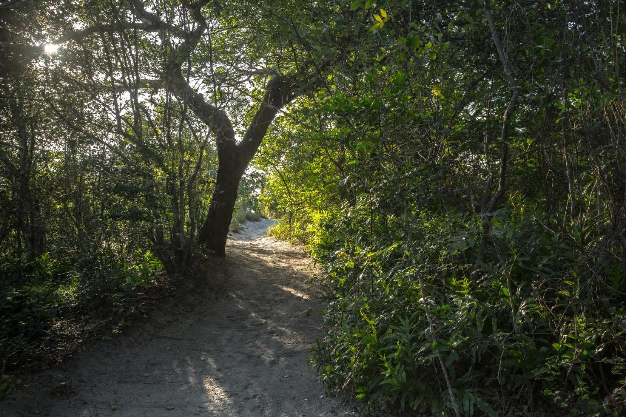 Kosi Forest Lodge Manguzi Eksteriør bilde