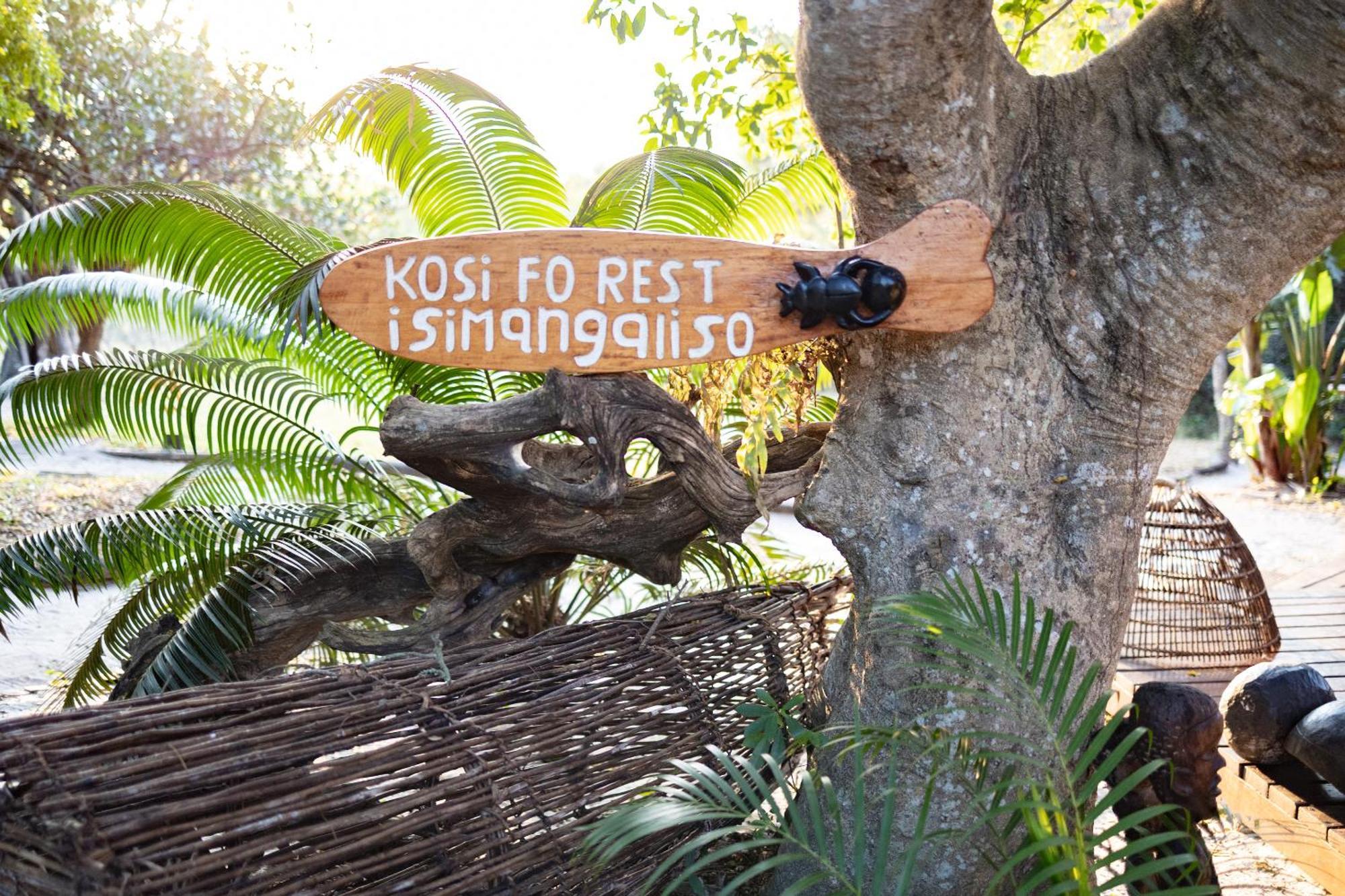 Kosi Forest Lodge Manguzi Eksteriør bilde
