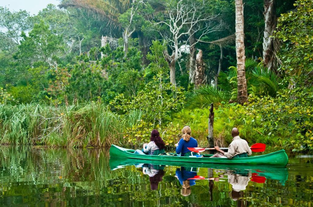 Kosi Forest Lodge Manguzi Eksteriør bilde