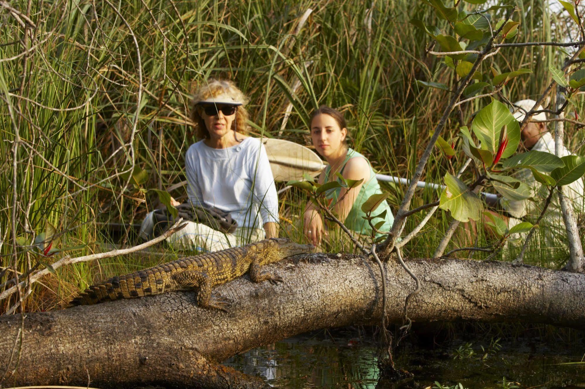 Kosi Forest Lodge Manguzi Eksteriør bilde