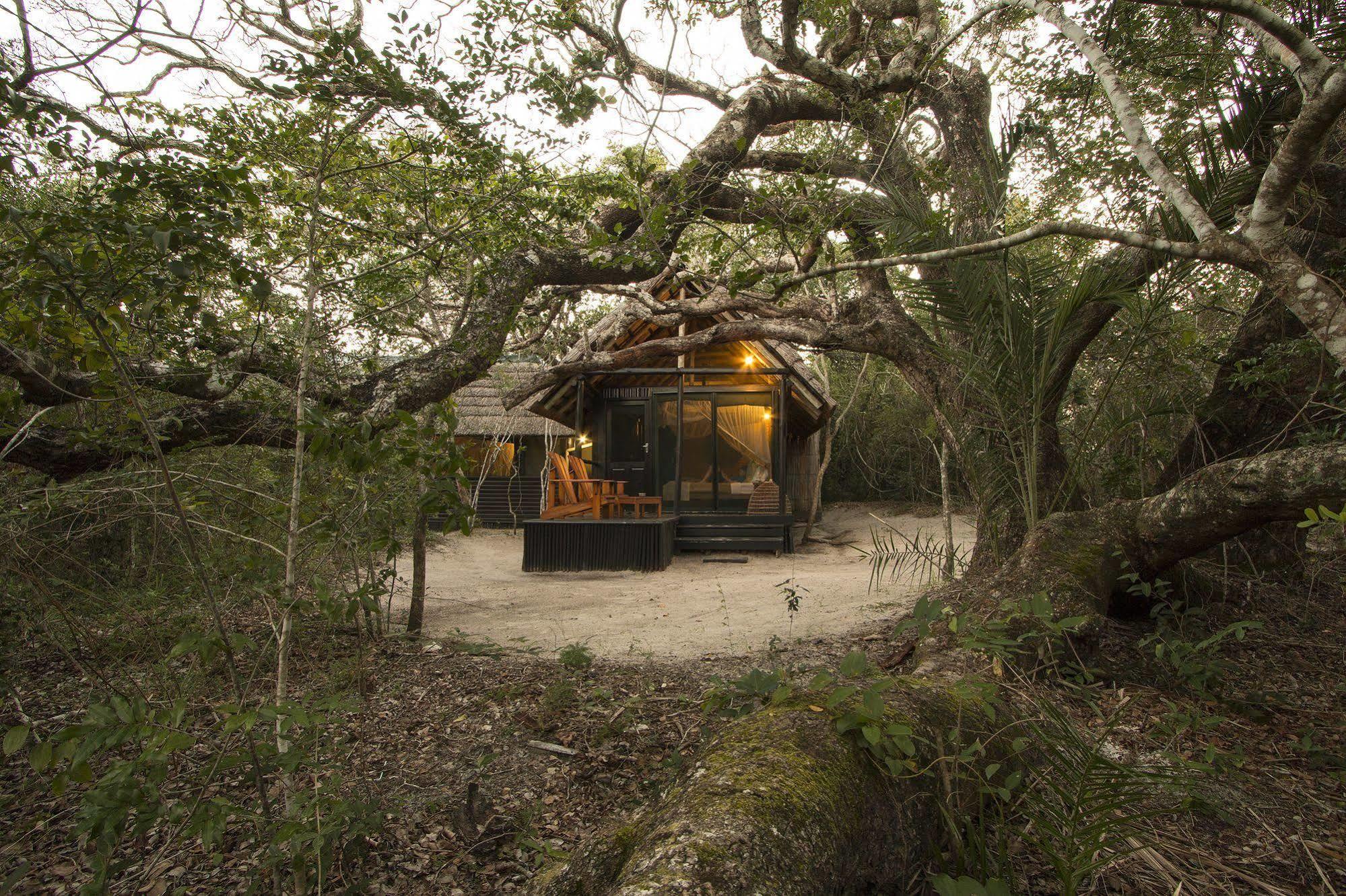 Kosi Forest Lodge Manguzi Eksteriør bilde