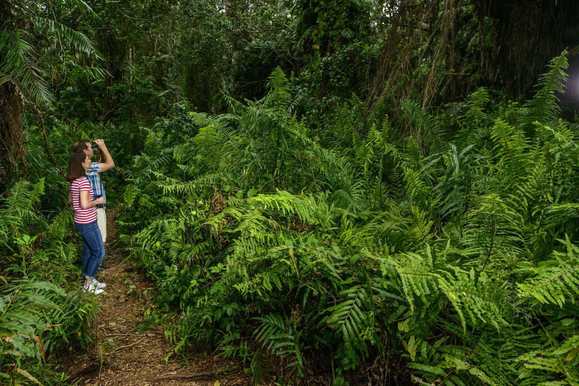 Kosi Forest Lodge Manguzi Eksteriør bilde