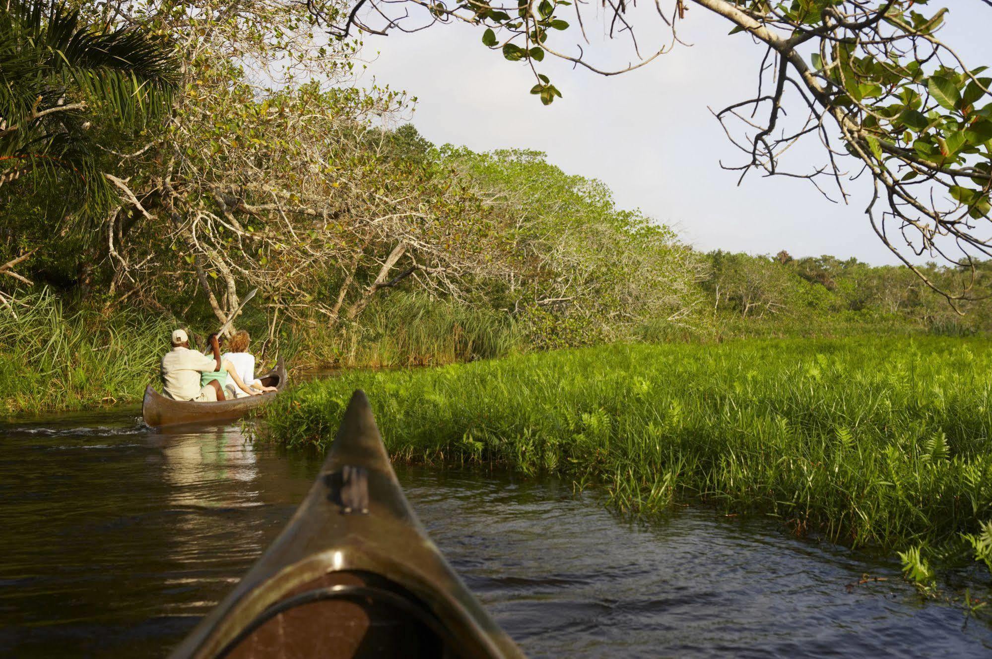 Kosi Forest Lodge Manguzi Eksteriør bilde