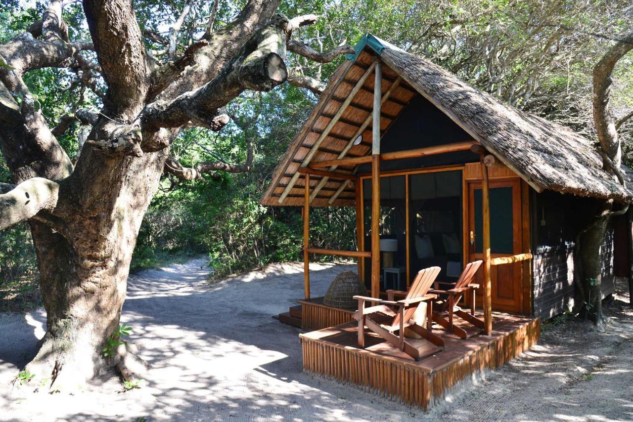 Kosi Forest Lodge Manguzi Eksteriør bilde