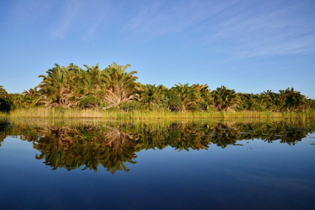 Kosi Forest Lodge Manguzi Eksteriør bilde